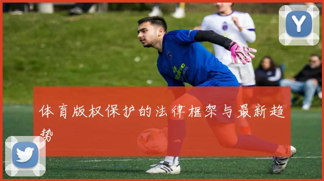体育版权保护的法律框架与最新趋势